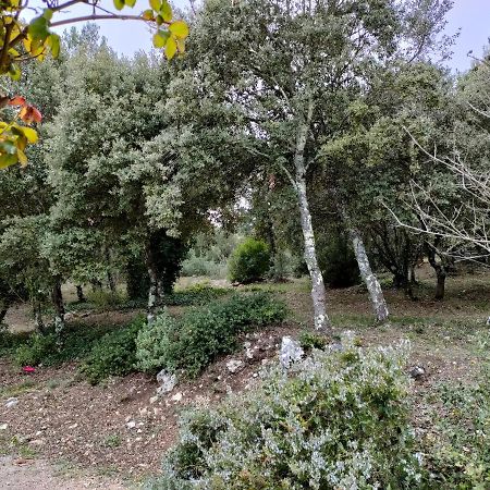 O'Fildl'Eau Gite Sillans-la Cascade Dış mekan fotoğraf