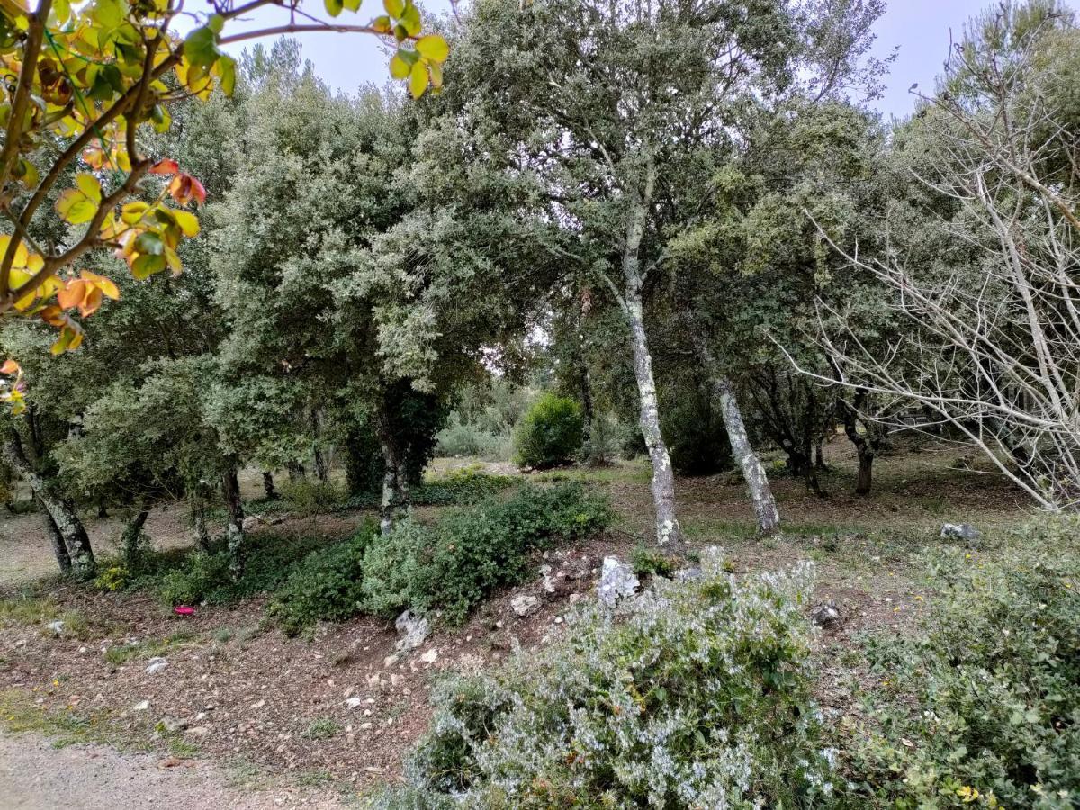 O'Fildl'Eau Gite Sillans-la Cascade Dış mekan fotoğraf