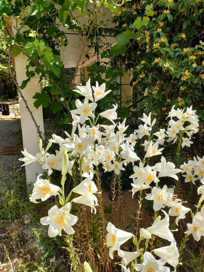 O'Fildl'Eau Gite Sillans-la Cascade Dış mekan fotoğraf